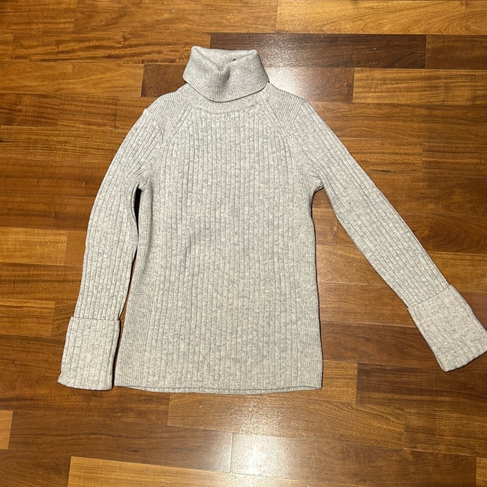 Club Monaco rib turtleneck